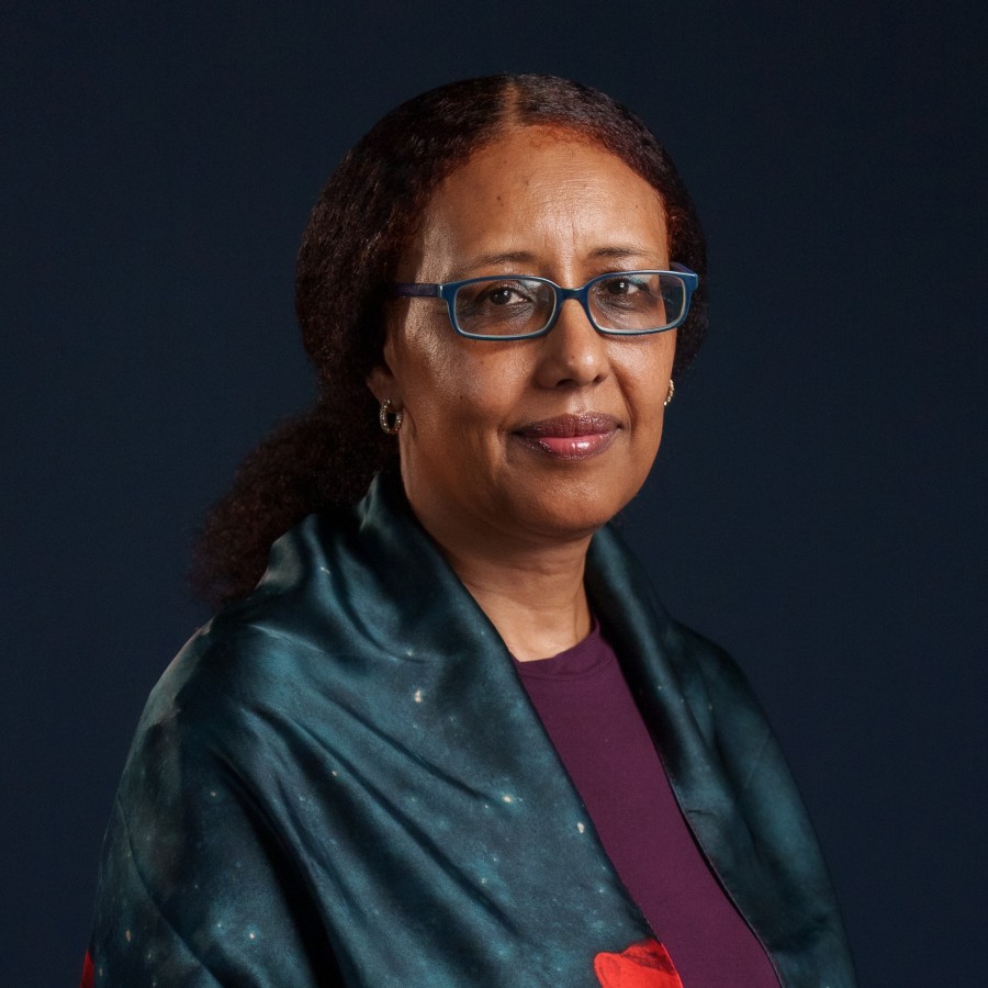Prof. Amira Osman